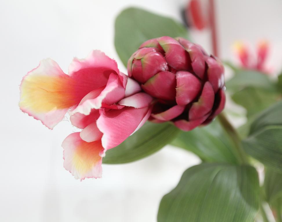 Gingerflower Boutique Hotel Malacca Εξωτερικό φωτογραφία
